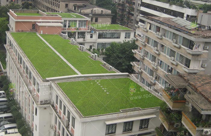 广东省建筑设计研究院屋顶绿化工程