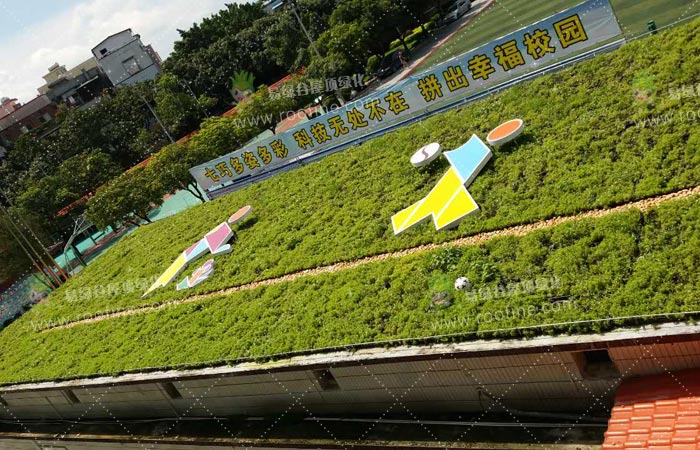 广州海珠区赤沙小学屋顶绿化隔热工程