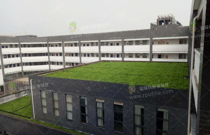 湖南吉利汽车职业技术学院屋顶绿化项目
