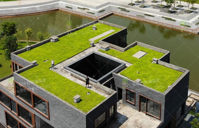 广东酒店管理职业技术学院屋顶绿化项目