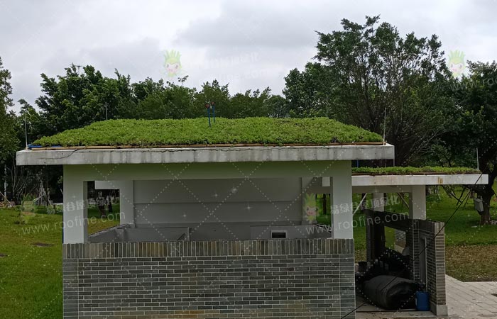 广州海珠区湿地公园屋顶绿化项目