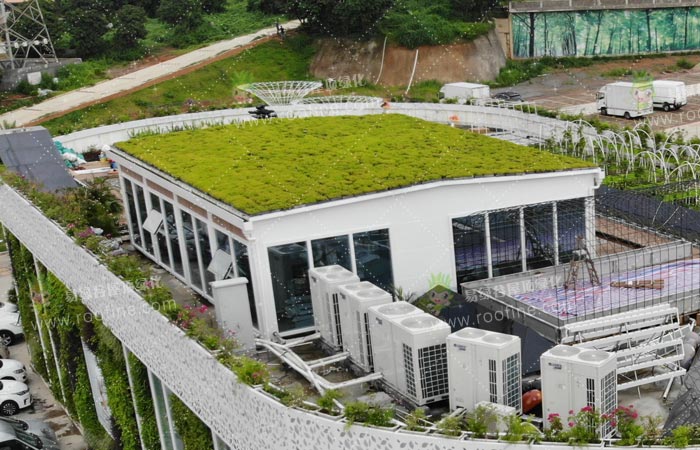揭秘屋顶绿化在是寸土寸金时代最省地的绿化方法