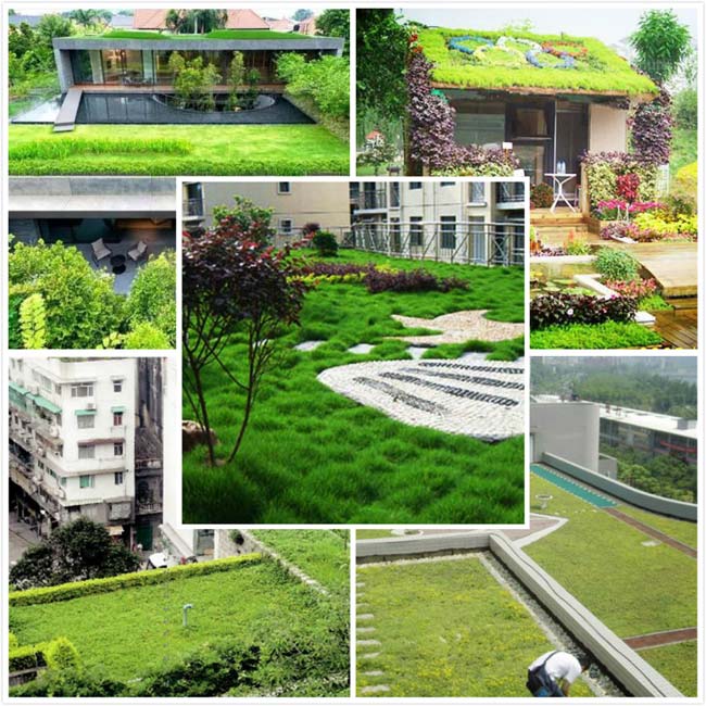 最便宜屋顶隔热层做法-屋顶绿化