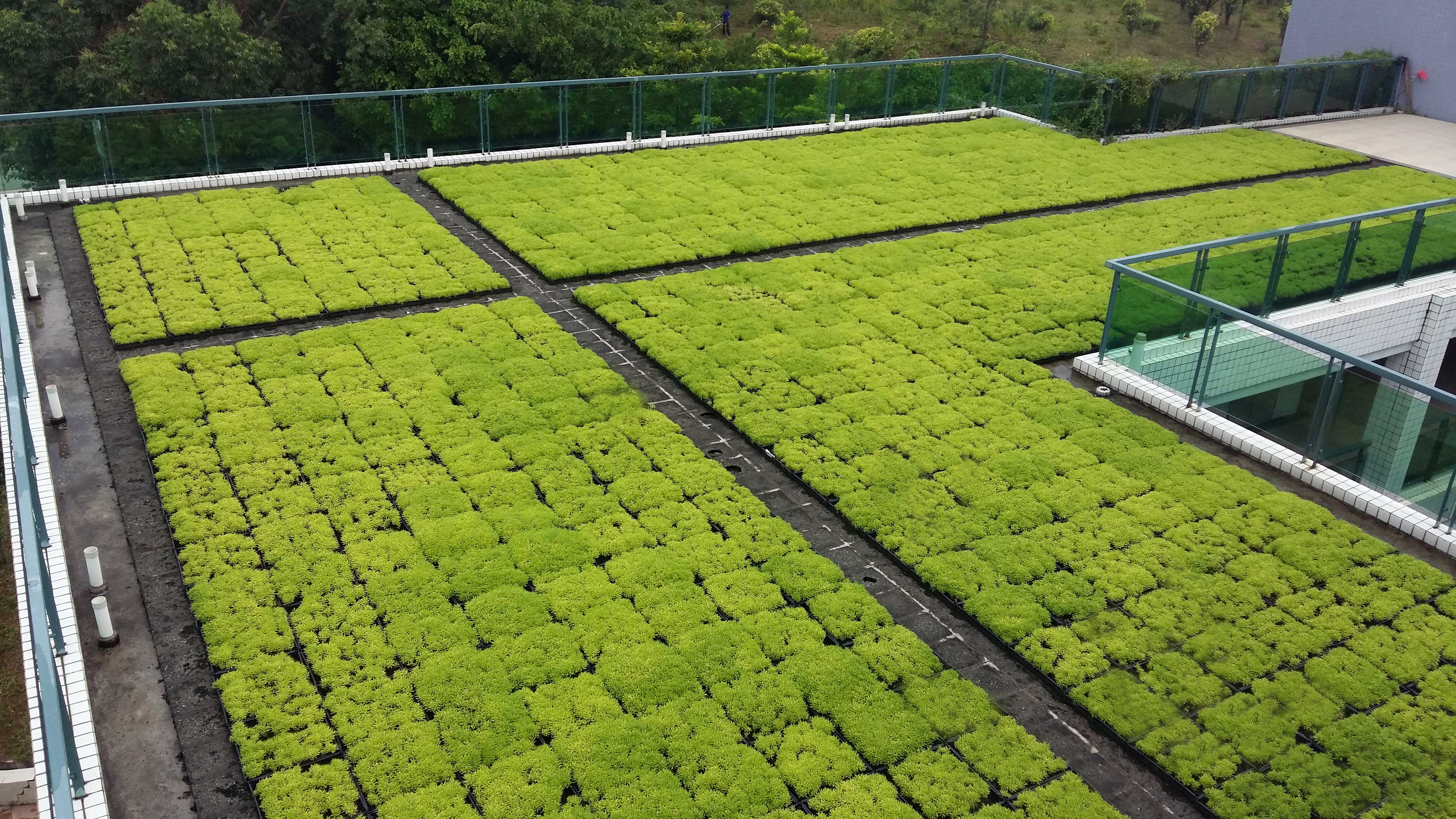 屋顶绿化案例-成都旭锦园林有限公司