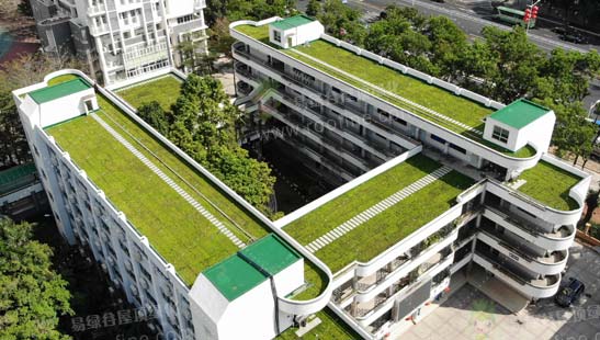 居民楼的屋顶作为公共面积，在什么情况下屋顶绿化才是符合规定的？