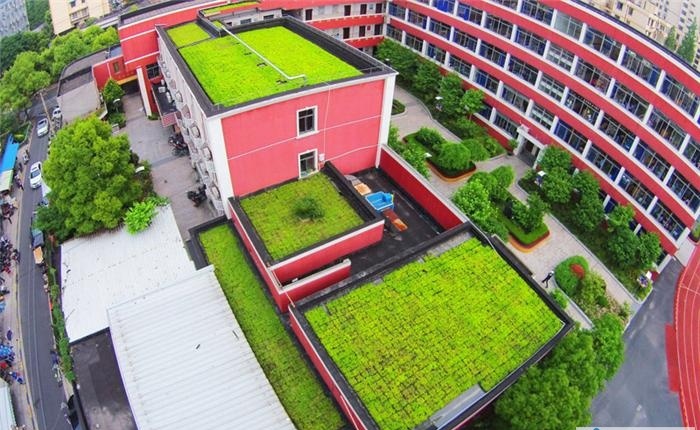 屋顶绿化：如何做屋顶绿化防水防根刺设计