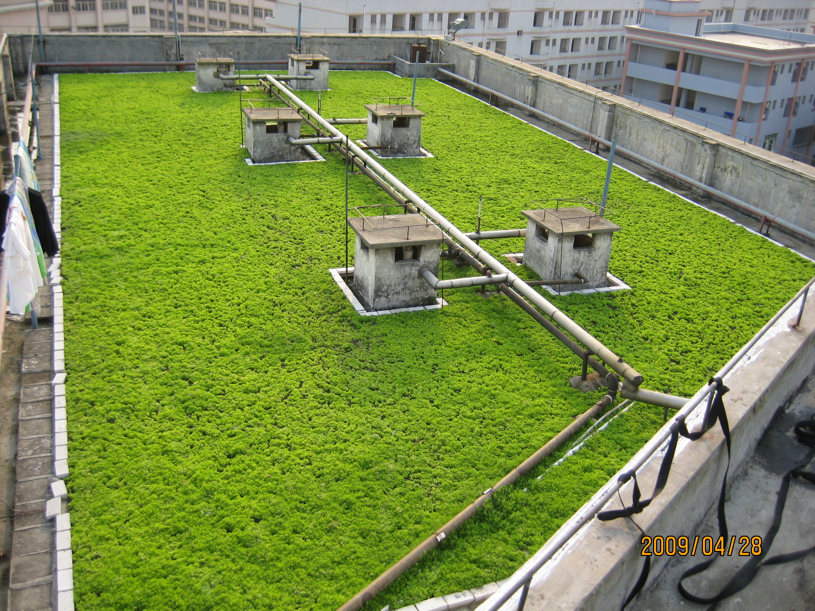 时下最热门的城市绿化方式-轻型屋顶绿化