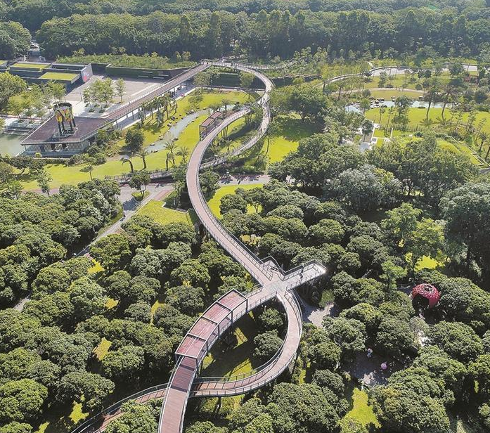 深圳2020年绿化率将达50％以上 让市民生活在森林城市里