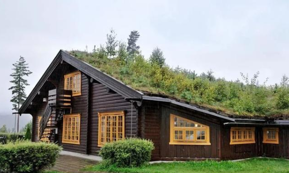 屋顶绿化必须考虑的因素都有哪几点？